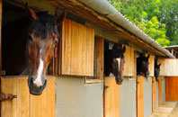 free Basingstoke stable construction quotes